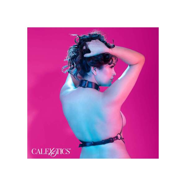 CalExotics - Euphoria - Multi Chain Collar Harnas - Plus Size - Metaal - PU-leer - Zwart - Afbeelding 2