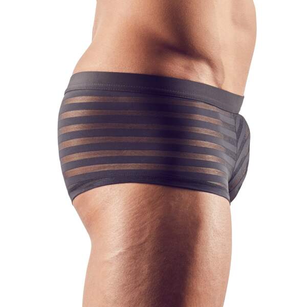 Svenjoyment Underwear - Short - Gaas - Transparant - Banen Patroon - Zwart - Afbeelding 3