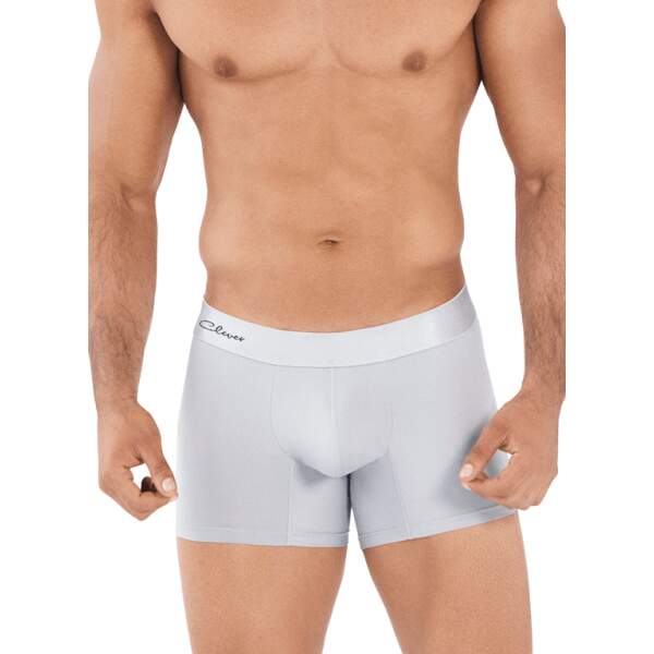 Clever - Eureka Boxershort - Zacht Microvezel - Grijs Maat L