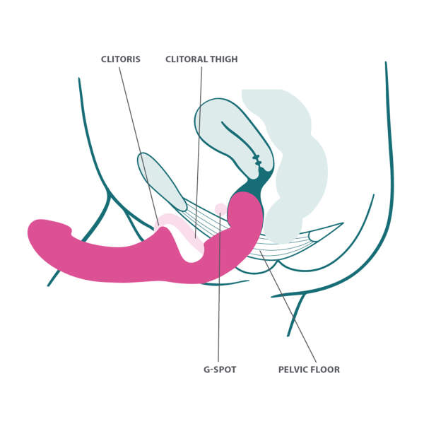 Fun Factory - Share Lite - Double Dildo - Voorbind Dildo zonder Harnas - Aqua - Afbeelding 3