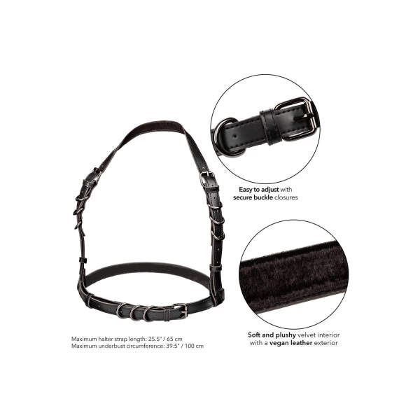 CalExotics - Euphoria - Halter - Harnas - PU-leer - Zwart - Afbeelding 4