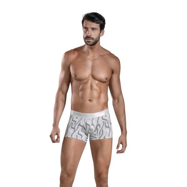 Clever Moda - Lazos Trunks - Boxershort - Zacht Microvezel - Brede Band - Print - Grijs - Afbeelding 4